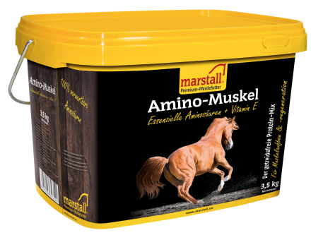 MARSTALL Ergänzungsfutter AMINO-MUSKEL  für Pferde