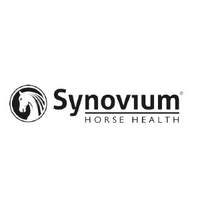 Synovium