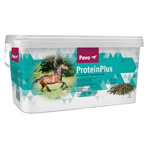 PAVO Ergänzungsfutter PROTEINPLUS für Pferde