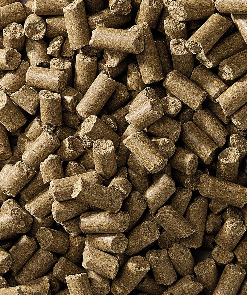 CAVALOR Futter ACTION PELLET für Pferde