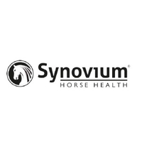  Synovium