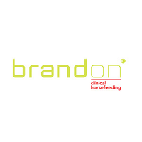 Brandon Plus